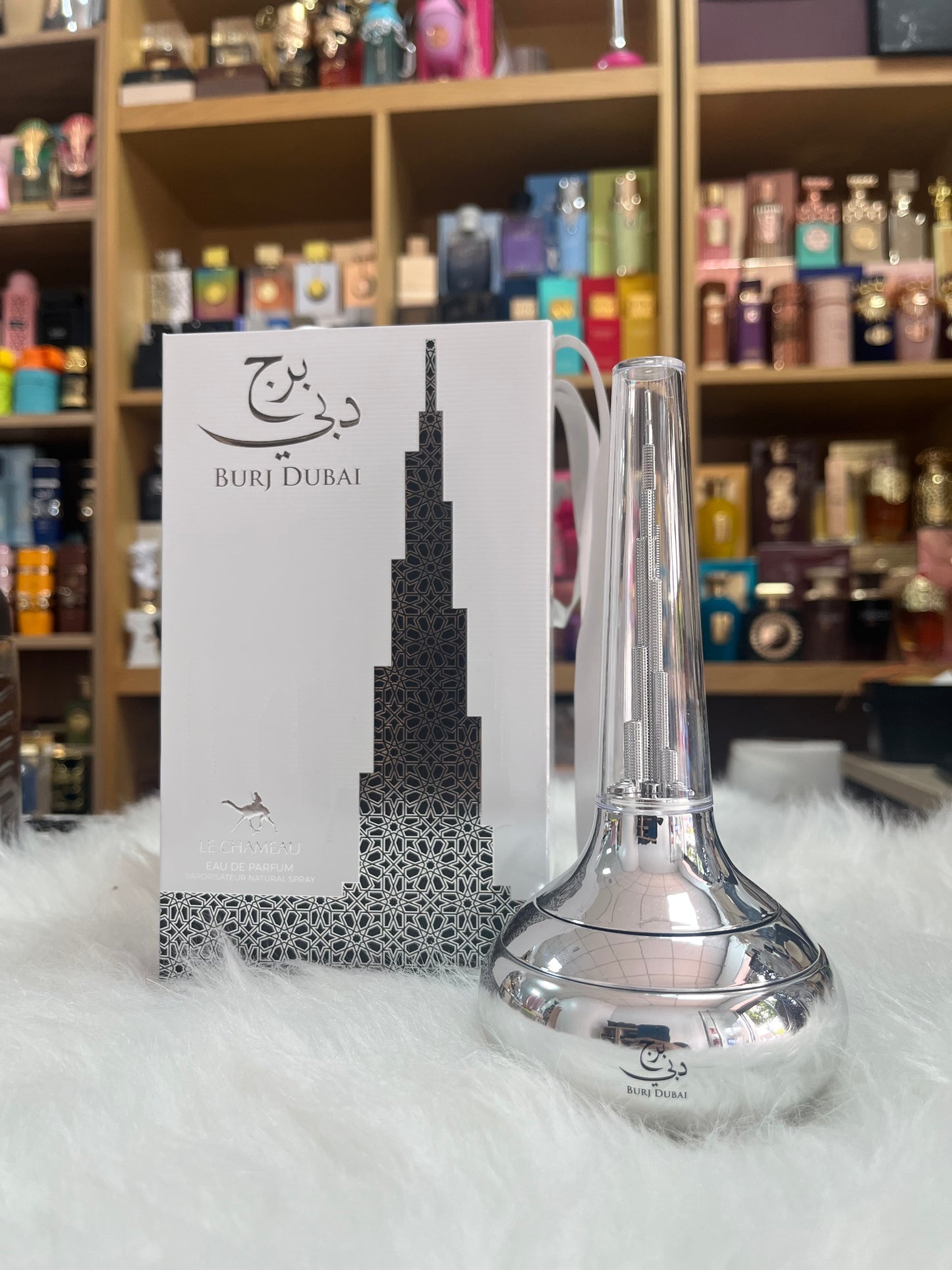 Burj Dubai Le Chameau