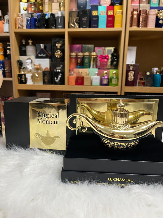 Muestra Magical moment night